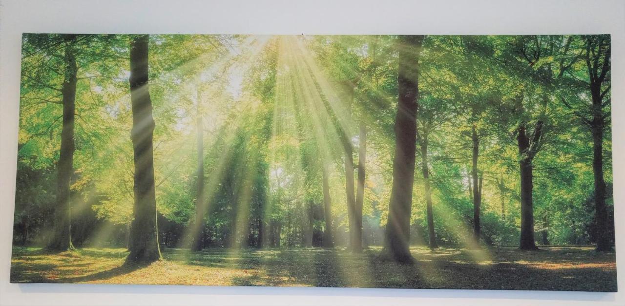 Ferienwohnungen Im Dorfe Soltau Exterior foto